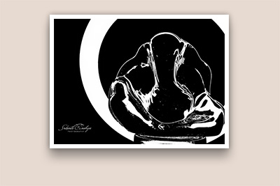 Fine Art Photography SrikanthAnubojaPhotography