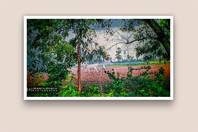 Environmental Photography SrikanthAnubojaPhotography