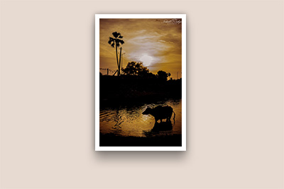 Landscape Photography SrikanthAnubojaPhotography