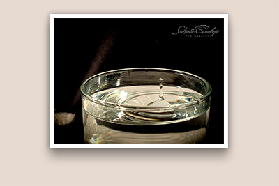 Digital Photography SrikanthAnubojaPhotography